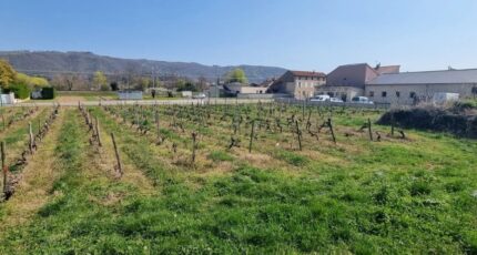 Sarras Terrain à bâtir - 2481150-11248annonce120260410yzwNx.jpeg Maisons France Confort