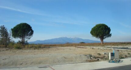 Saint-Jean-Lasseille Maison neuve - 2452923-666annonce120260311TD2U0.jpeg Maisons France Confort