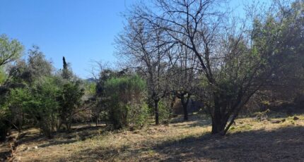 La Gaude Terrain à bâtir - 2481330-10316annonce220260410dluCv.jpeg Maisons France Confort