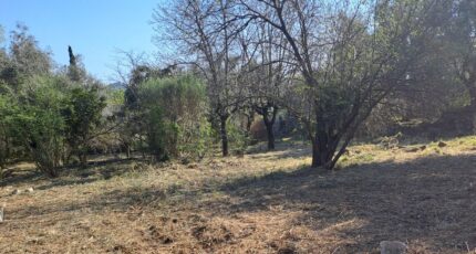 La Gaude Terrain à bâtir - 2481330-10316annonce320260410ceScb.jpeg Maisons France Confort