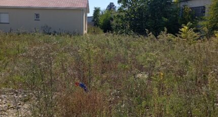 Bourg-de-Péage Terrain à bâtir - 2386318-11248annonce2202601098uJc3.jpeg Maisons France Confort