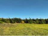 Maison à construire à Belpech (11420) 2481573-10986annonce220260410uRvft.jpeg Maisons France Confort