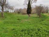 Terrain à bâtir à Coursan (11110) 2481055-11782annonce120260410OLifH.jpeg Maisons France Confort