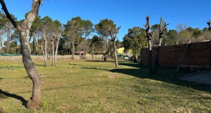 Régusse Maison neuve - 2481984-3951annonce1202604108upZ2.jpeg Maisons France Confort