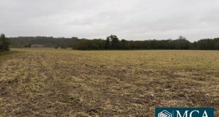 Mimbaste Terrain à bâtir - 2482061-5828annonce120260410BpPaI.jpeg Maisons France Confort