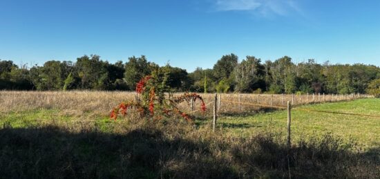 Terrain à bâtir à Camblanes-et-Meynac, Nouvelle-Aquitaine