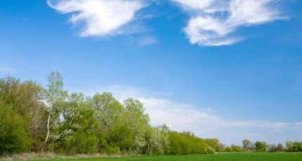 Camblanes-et-Meynac Terrain à bâtir - 2482088-11383annonce320260410tKvzQ.jpeg Maisons France Confort