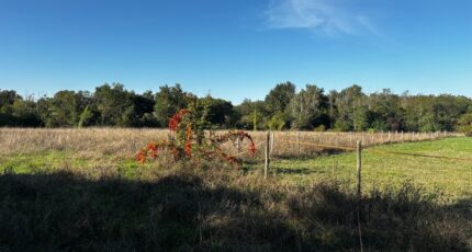 Camblanes-et-Meynac Maison neuve - 2482094-11383annonce120260410cynoX.jpeg Maisons France Confort