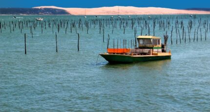 Gujan-Mestras Maison neuve - 2482091-11279annonce1202604105dOob.jpeg Maisons France Confort