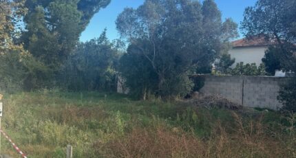 Istres Maison neuve - 2482136-11677annonce120260411itP5M.jpeg Maisons France Confort