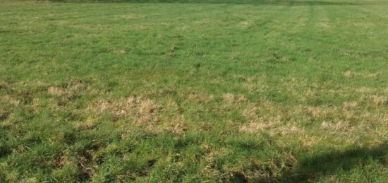 Terrain à bâtir à La Baroche-sous-Lucé, Normandie