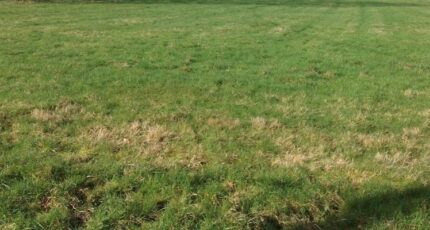 Sarceaux Terrain à bâtir - 2387331-1153annonce120240527FB5LD.jpeg Maisons France Confort