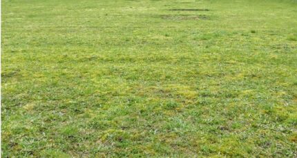 Nécy Maison neuve - 2387260-1153annonce120250917xKQyi.jpeg Maisons France Confort