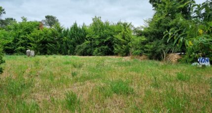 Artigues-près-Bordeaux Terrain à bâtir - 2421838-11261annonce120260207Sya68.jpeg Maisons France Confort