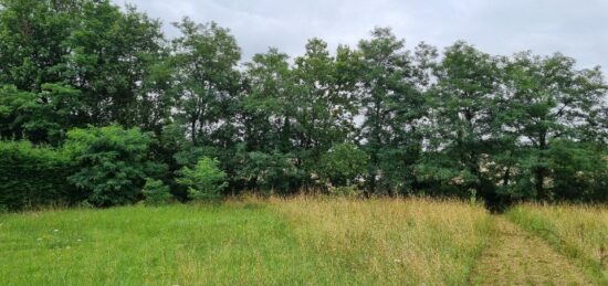 Terrain à bâtir à Blanquefort, Nouvelle-Aquitaine