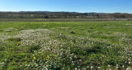 Leuc Terrain à bâtir - 2482269-10986annonce120260411Fg6QS.jpeg Maisons France Confort