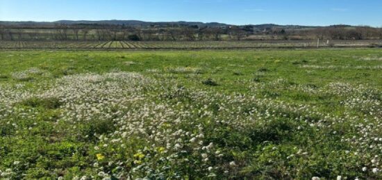 Terrain à bâtir à Leuc, Occitanie