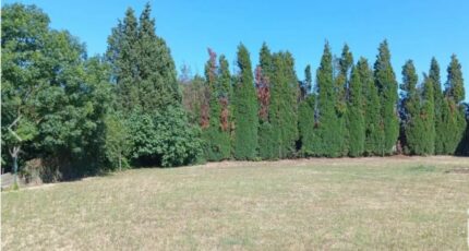 Labastide-d'Anjou Maison neuve - 2482405-10986annonce120260411SRSD5.jpeg Maisons France Confort