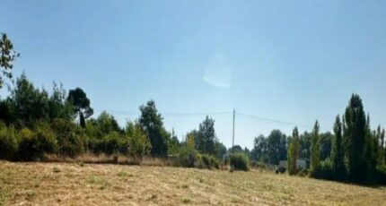 Labécède-Lauragais Terrain à bâtir - 2482413-10986annonce120260411y0eJK.jpeg Maisons France Confort