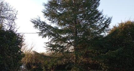 Saint-Caprais-de-Bordeaux Terrain à bâtir - 2454811-11596annonce220260312FHwze.jpeg Maisons France Confort