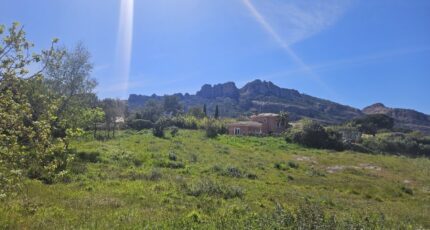 Roquebrune-sur-Argens Terrain à bâtir - 2482527-5163annonce120260411nV86g.jpeg Maisons France Confort