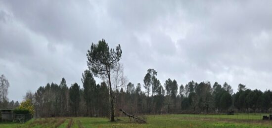 Terrain à bâtir à Saint-Savin, Nouvelle-Aquitaine