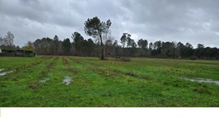 Saint-Savin Terrain à bâtir - 2482570-11516annonce120260412rypCR.jpeg Maisons France Confort