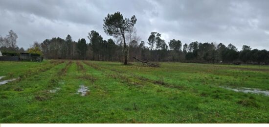 Terrain à bâtir à Saint-Savin, Nouvelle-Aquitaine