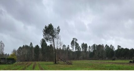 Saint-Savin Maison neuve - 2482580-11516annonce120260412Dv0uu.jpeg Maisons France Confort