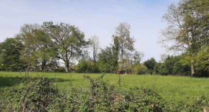 Savigné-l'Évêque Terrain à bâtir - 2482695-6170annonce120260412KpqzR.jpeg Maisons France Confort