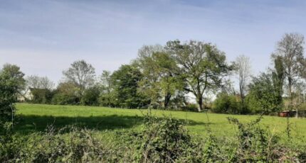 Savigné-l'Évêque Terrain à bâtir - 2482695-6170annonce220260412lm0Co.jpeg Maisons France Confort