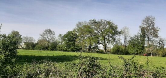 Terrain à bâtir à , Sarthe