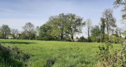 Savigné-l'Évêque Terrain à bâtir - 2482722-6170annonce120260412T6Fde.jpeg Maisons France Confort