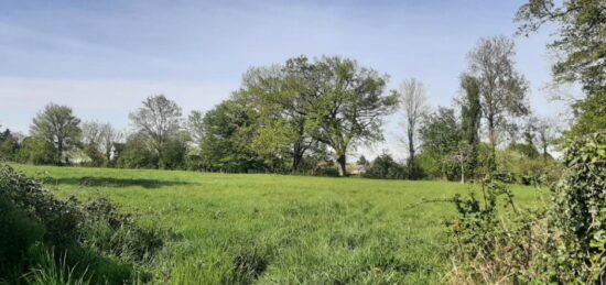 Terrain à bâtir à Savigné-l'Évêque, Pays de la Loire