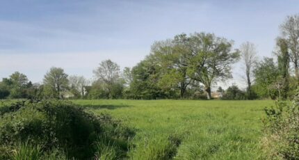 Savigné-l'Évêque Terrain à bâtir - 2482722-6170annonce220260412P784u.jpeg Maisons France Confort