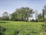 Maison à construire à Savigné-l’Évêque (72460) 2482743-6170annonce120260412T6Fde.jpeg Maisons France Confort