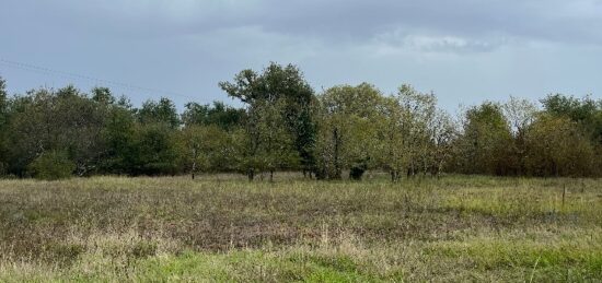 Terrain à bâtir à Saint-Savin, Nouvelle-Aquitaine