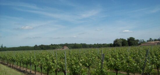 Terrain à bâtir à Saint-Savin, Nouvelle-Aquitaine