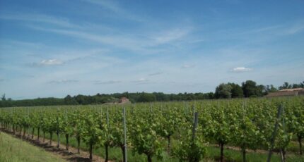 Saint-Savin Maison neuve - 2483008-11265annonce120260412nNdW6.jpeg Maisons France Confort