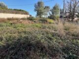 Terrain à bâtir à La Motte (83920) 2454945-10295annonce120260312rlqwx.jpeg Maisons France Confort
