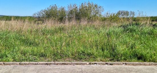 Terrain à bâtir à Saint-Lys, Occitanie
