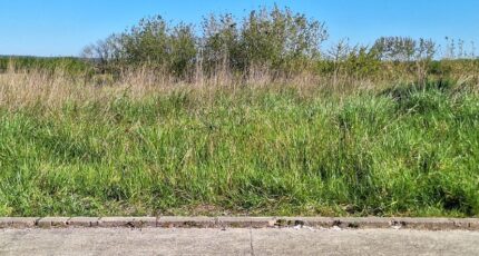 Saint-Lys Maison neuve - 2481008-9555annonce120260410dhx2i.jpeg Maisons France Confort