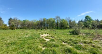 Vacquiers Terrain à bâtir - 2481164-5604annonce120260410A6tkT.jpeg Maisons France Confort