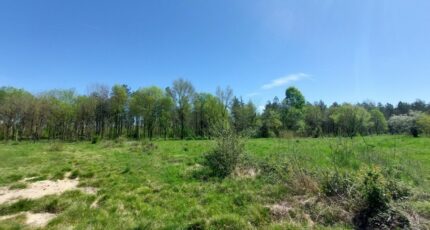 Vacquiers Terrain à bâtir - 2481164-5604annonce4202604103utp1.jpeg Maisons France Confort