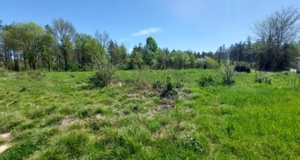 Vacquiers Maison neuve - 2481174-5604annonce320260410KAgWR.jpeg Maisons France Confort