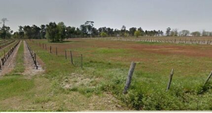 Saint-Savin Maison neuve - 2483357-11516annonce120260413S5cVE.jpeg Maisons France Confort