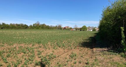 Champagnolles Terrain à bâtir - 2483499-1046annonce120240325ud0yb.jpeg Maisons France Confort