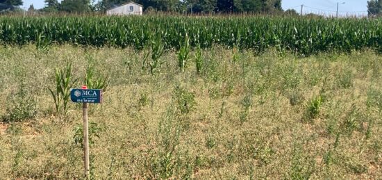 Terrain à bâtir à Balanzac, Nouvelle-Aquitaine