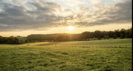 Le Barp Maison neuve - 2483824-11358annonce120260413IcG4O.jpeg Maisons France Confort