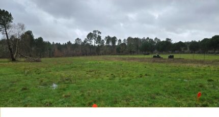 Saint-Savin Maison neuve - 2482583-11516annonce1202604121E6WH.jpeg Maisons France Confort